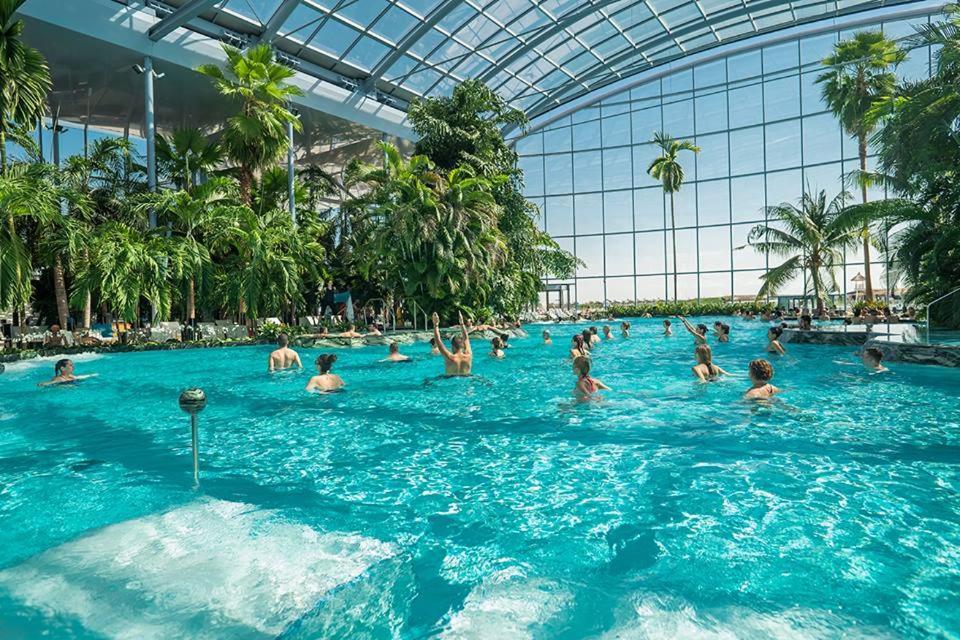 Vilă Casuta Bradulet - Aeroport Otopeni&therme
